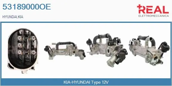 EGR Module (53189000OE)