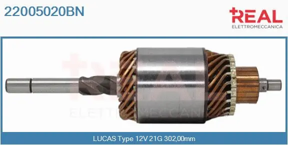 Armature, starter (22005020BN)