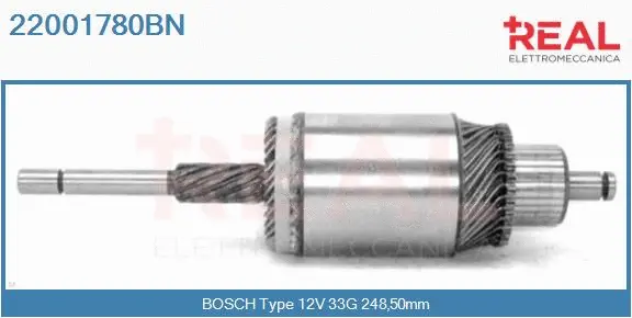 Armature, starter (22001780BN)