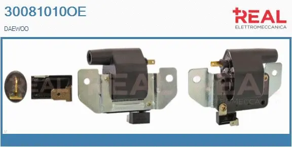 Ignition Coil (30081010OE)