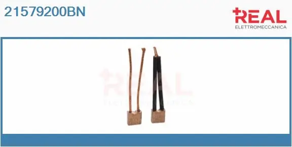 Carbon Brush, starter (21579200BN)