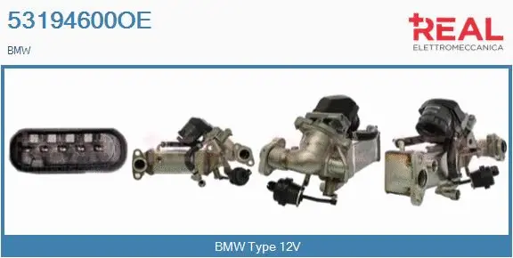 EGR Module (53194600OE)