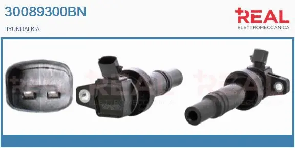 Ignition Coil (30089300BN)