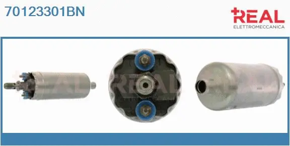 Fuel Pump (70123301BN)
