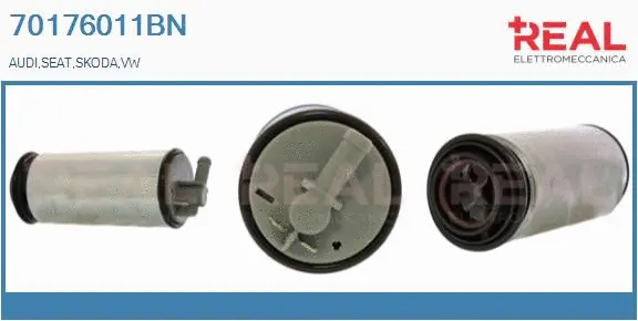 Fuel Pump (70176011BN)