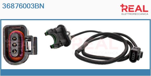 Steering Angle Sensor (36876003BN)