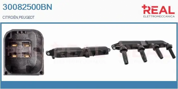 Ignition Coil (30082500BN)