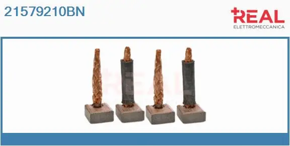 Carbon Brush, starter (21579210BN)