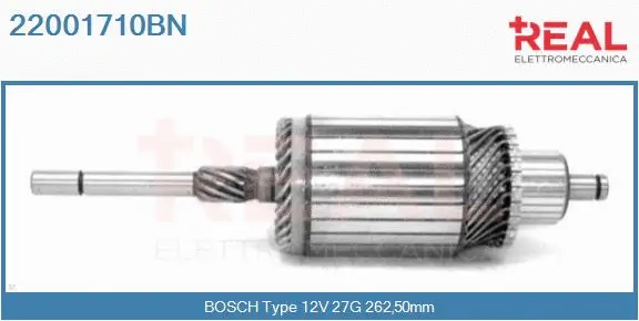 Armature, starter (22001710BN)