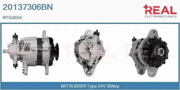 Alternator (20137306BN)