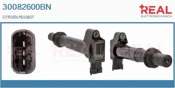 Ignition Coil (30082600BN)