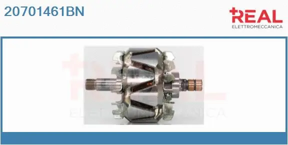 Rotor, alternator (20701461BN)