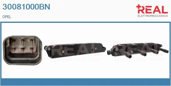 Ignition Coil (30081000BN)