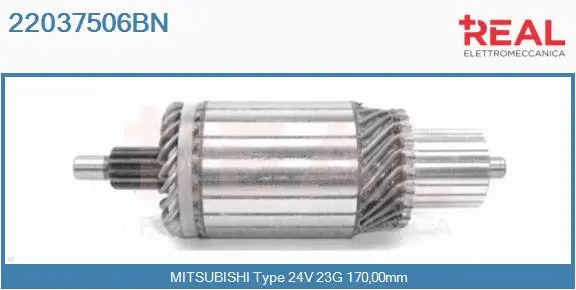 Armature, starter (22037506BN)