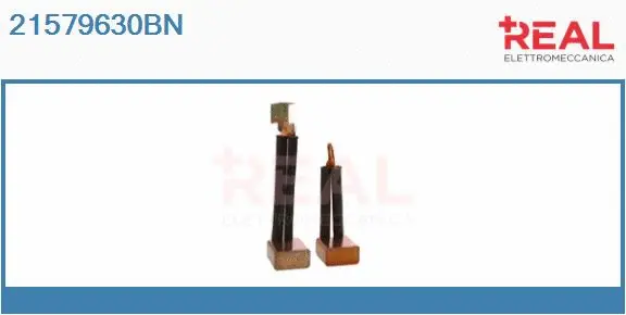 Carbon Brush, starter (21579630BN)