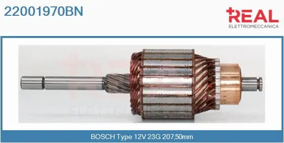 Armature, starter (22001970BN)