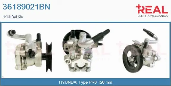 Hydraulic Pump, steering (36189021BN)