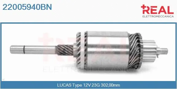 Armature, starter (22005940BN)