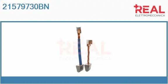 Carbon Brush, starter (21579730BN)