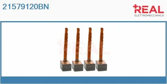 Carbon Brush, starter (21579120BN)