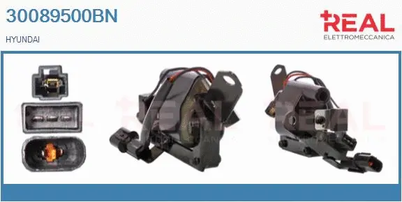 Ignition Coil (30089500BN)