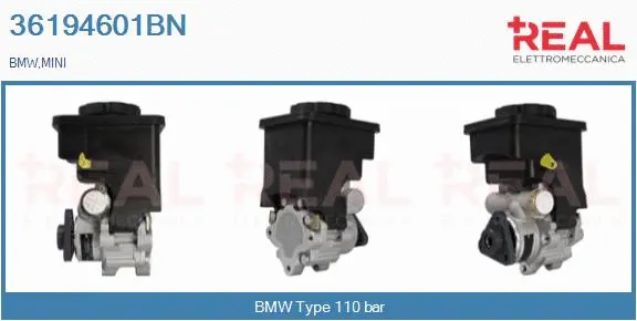 Hydraulic Pump, steering (36194601BN)