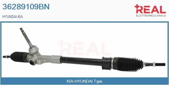 Steering Gear (36289109BN)