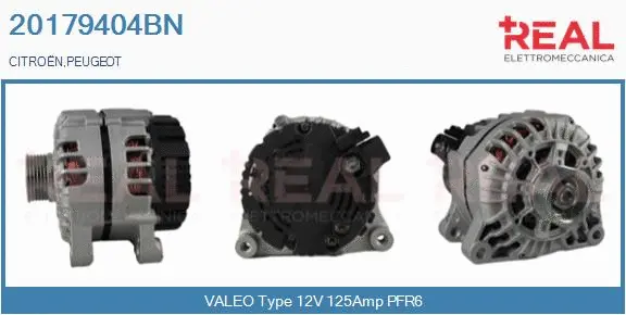 Alternator (20179404BN)