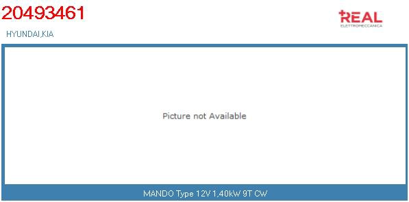 Alternator (20493461BN)