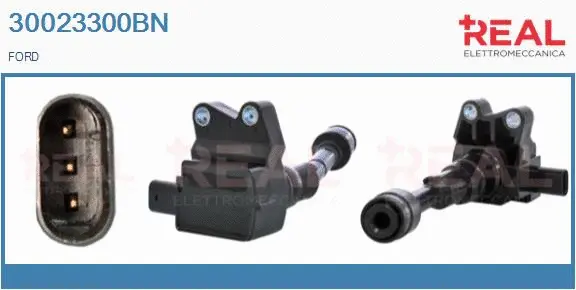 Ignition Coil (30023300BN)