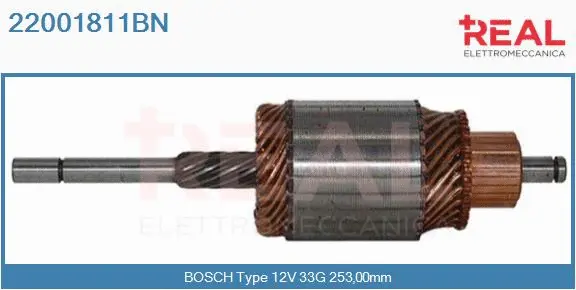 Armature, starter (22001811BN)