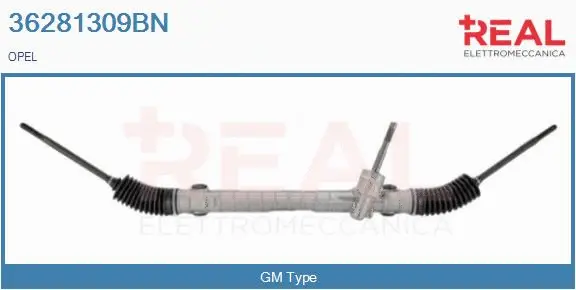 Steering Gear (36281309BN)