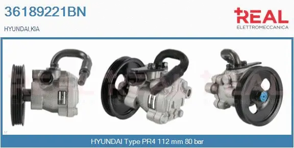 Hydraulic Pump, steering (36189221BN)