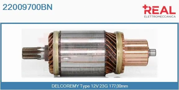 Armature, starter (22009700BN)