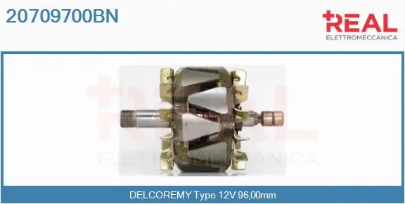 Rotor, alternator (20709700BN)