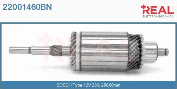 Armature, starter (22001460BN)