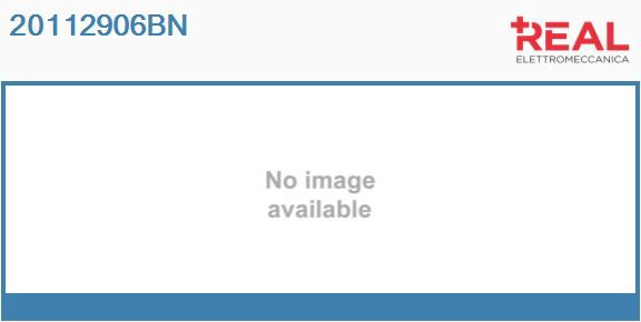 Alternator (20112906BN)