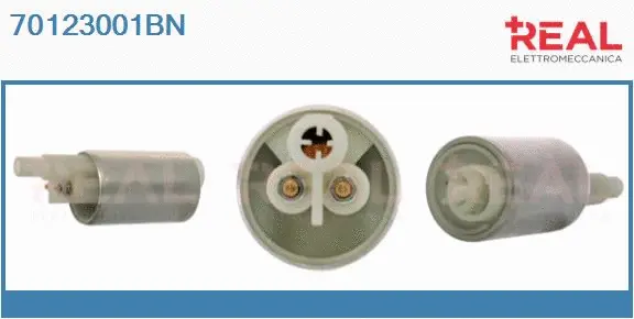 Fuel Pump (70123001BN)