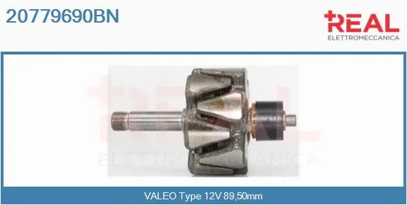 Rotor, alternator (20779690BN)