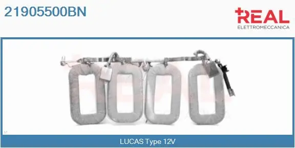 Field Winding, starter (21905500BN)