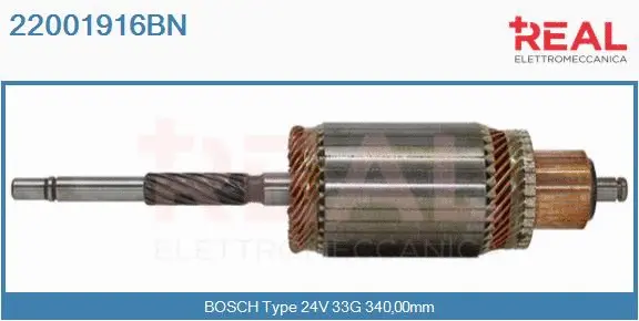 Armature, starter (22001916BN)