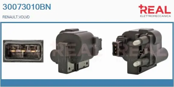 Ignition Coil (30073010BN)