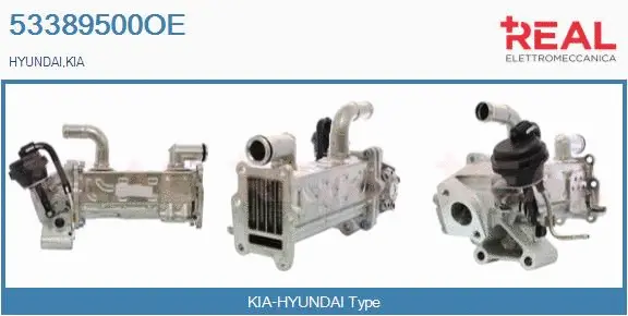 Cooler, exhaust gas recirculation (53389500OE)