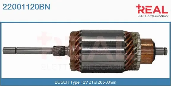 Armature, starter (22001120BN)