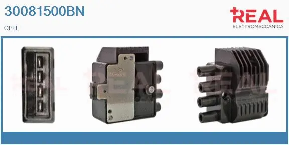 Ignition Coil (30081500BN)