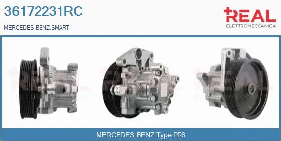Hydraulic Pump, steering (36172231RC)