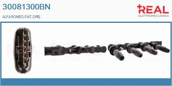 Ignition Coil (30081300BN)