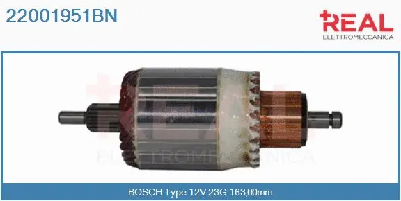 Armature, starter (22001951BN)