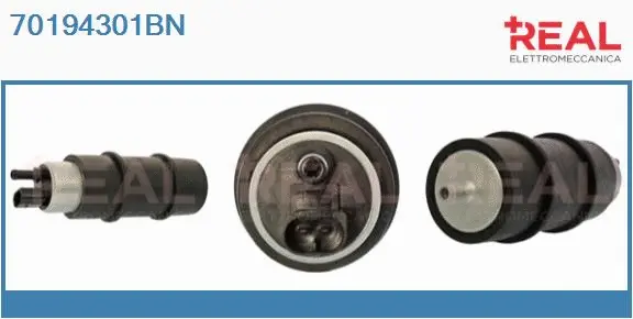 Fuel Pump (70194301BN)