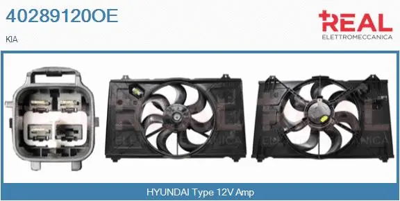 Electric Motor, radiator fan (40289120OE)